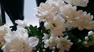 DSC_1805.jpg