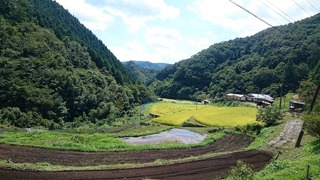 DSC_1838.jpg