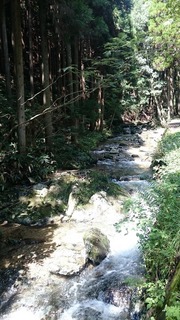 DSC_1845.jpg