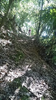 DSC_1901.jpg
