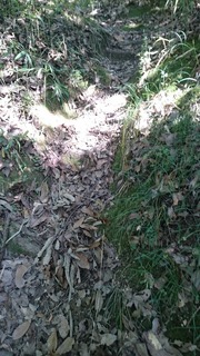 DSC_1904.jpg