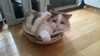 DSC_1958.jpg