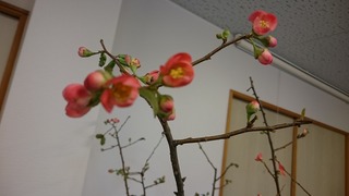 DSC_2014.jpg