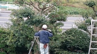 DSC_2197.jpg