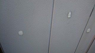 DSC_2380.jpg