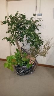 DSC_2888.jpg