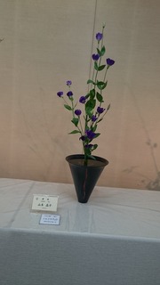 DSC_2956.jpg
