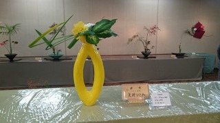DSC_2987.jpg