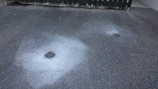 DSC_3062.jpg