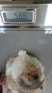 DSC_3066.jpg