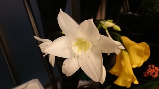 DSC_3073.jpg