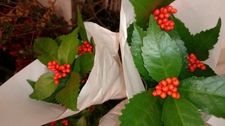 DSC_3076.jpg