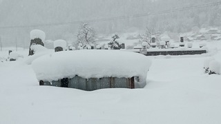 DSC_3261.jpg