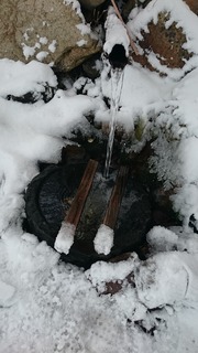 DSC_3293.jpg