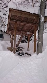DSC_3294.jpg