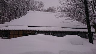 DSC_3295.jpg