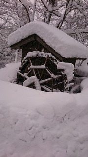 DSC_3297.jpg