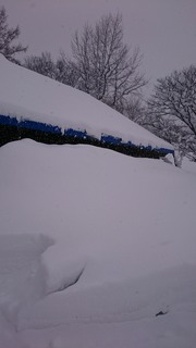 DSC_3299.jpg