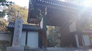 DSC_3309.jpg