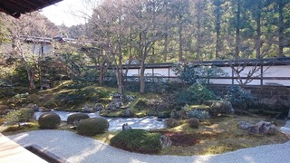 DSC_3319.jpg