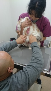 DSC_3362.jpg