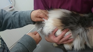 DSC_3444.jpg