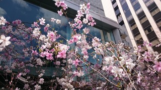 DSC_3642.jpg