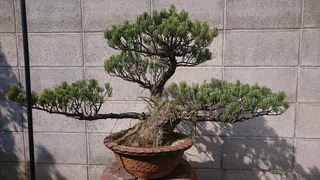 DSC_3690.jpg