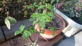 DSC_3719.jpg