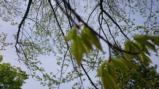 DSC_3811.jpg