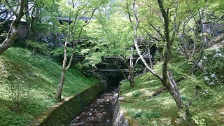 DSC_3813.jpg