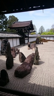 DSC_3816.jpg