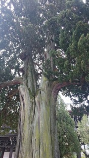 DSC_3818.jpg
