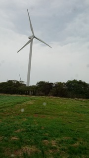 DSC_4047.jpg