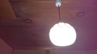 DSC_4179.jpg