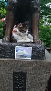 DSC_4308.jpg