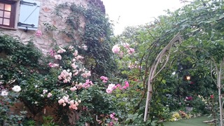 DSC_4313.jpg