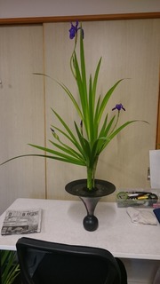 DSC_4383.jpg