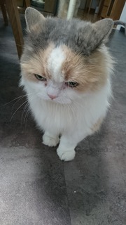 DSC_4403.jpg