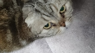 DSC_4448.jpg