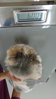 DSC_4479.jpg