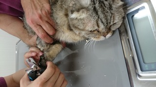DSC_4485.jpg