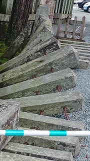 DSC_4629.jpg
