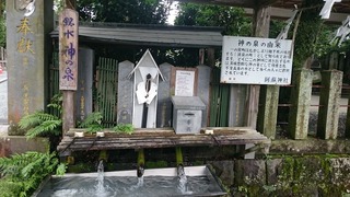 DSC_4633.jpg