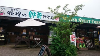 DSC_4736.jpg