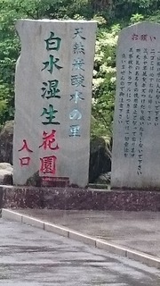 DSC_4756.jpg