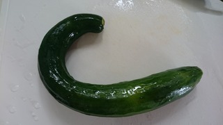 DSC_4777.jpg