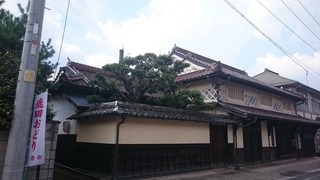 DSC_4908.jpg