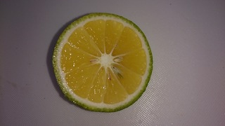 DSC_5008.jpg