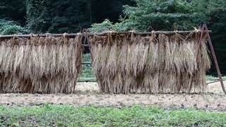 DSC_5189.jpg